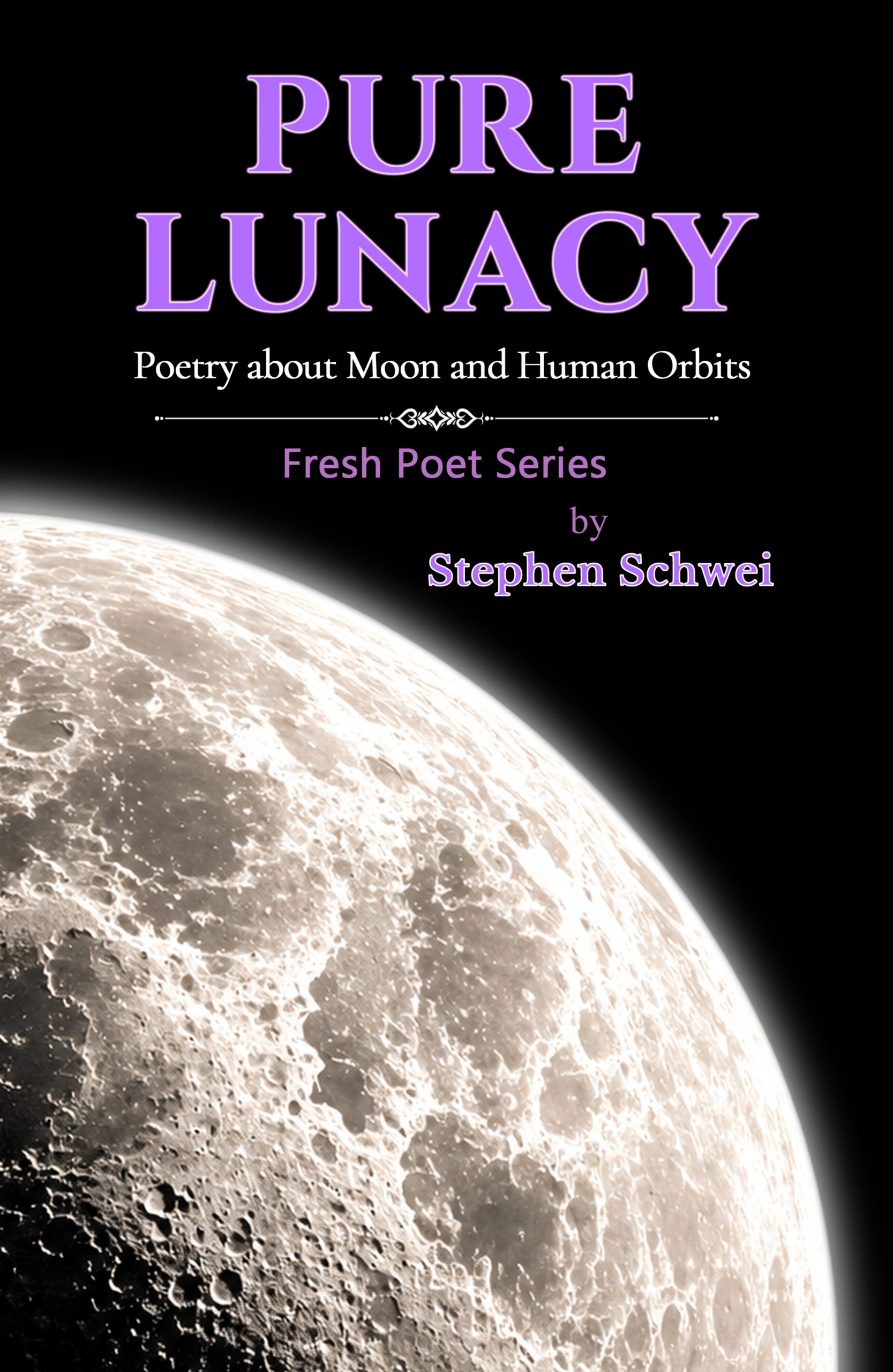 Pure Lunacy, front cover